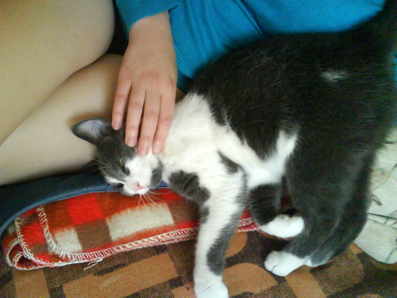 Фото профиля