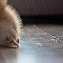 №129, Ира Драган, Одесса №129, Ира Драган, Одесса