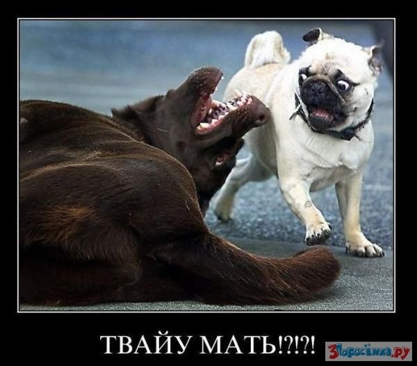 №87, Давид Арутюнян №87, Давид Арутюнян