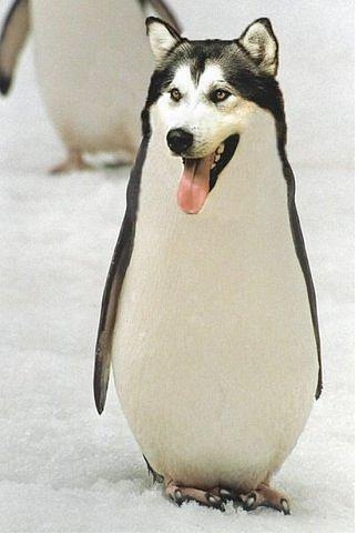 №122, Олег Михайлов №122, Олег Михайлов