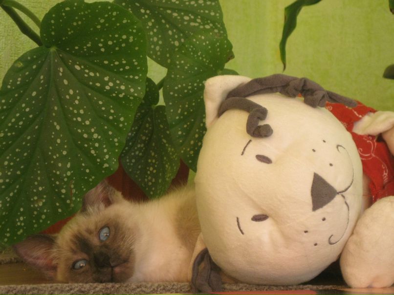 Наташа Загребина | Ижевск