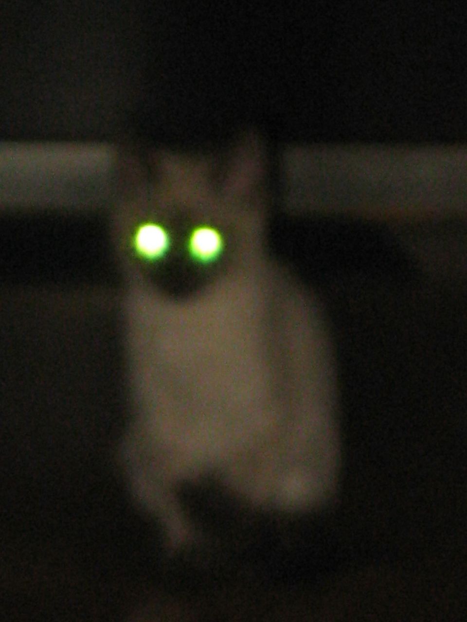 Наташа Загребина | Ижевск