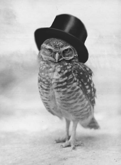 Евгений Вислогузов | Балашиха