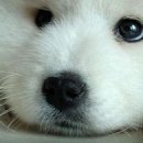 №81, Алла Селина, Донецк №81, Алла Селина, Донецк