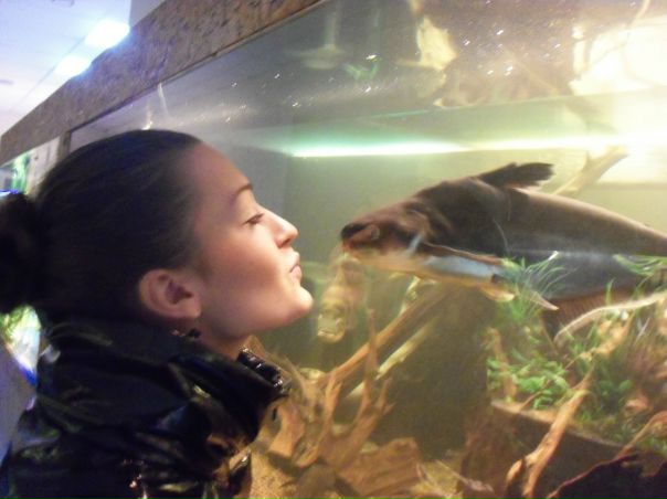 №31, Не-Помню Забыла, Киев №31, Не-Помню Забыла, Киев