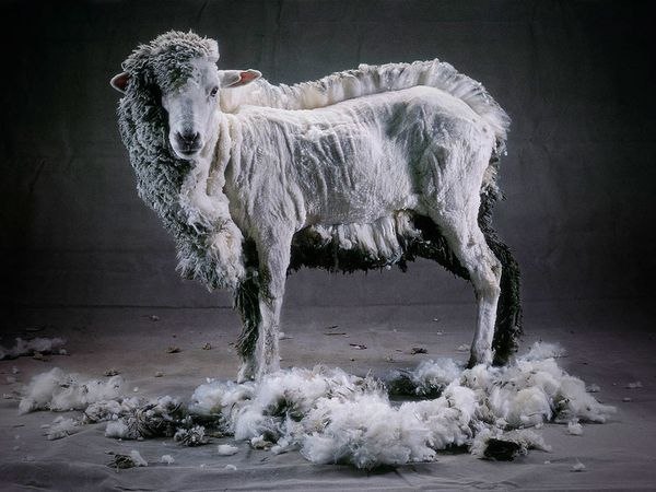 Гиляна Хечеева | Москва