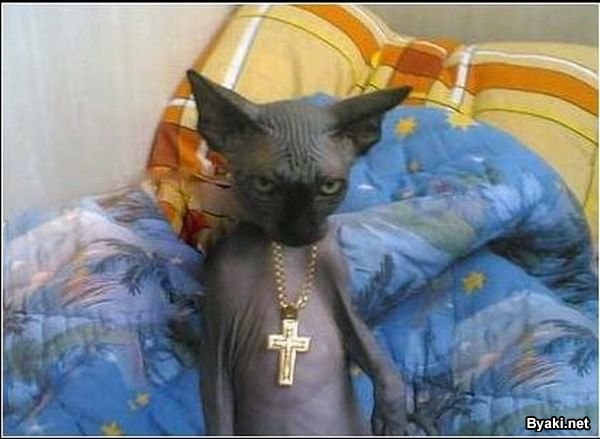 Богдан Бойко | Киев