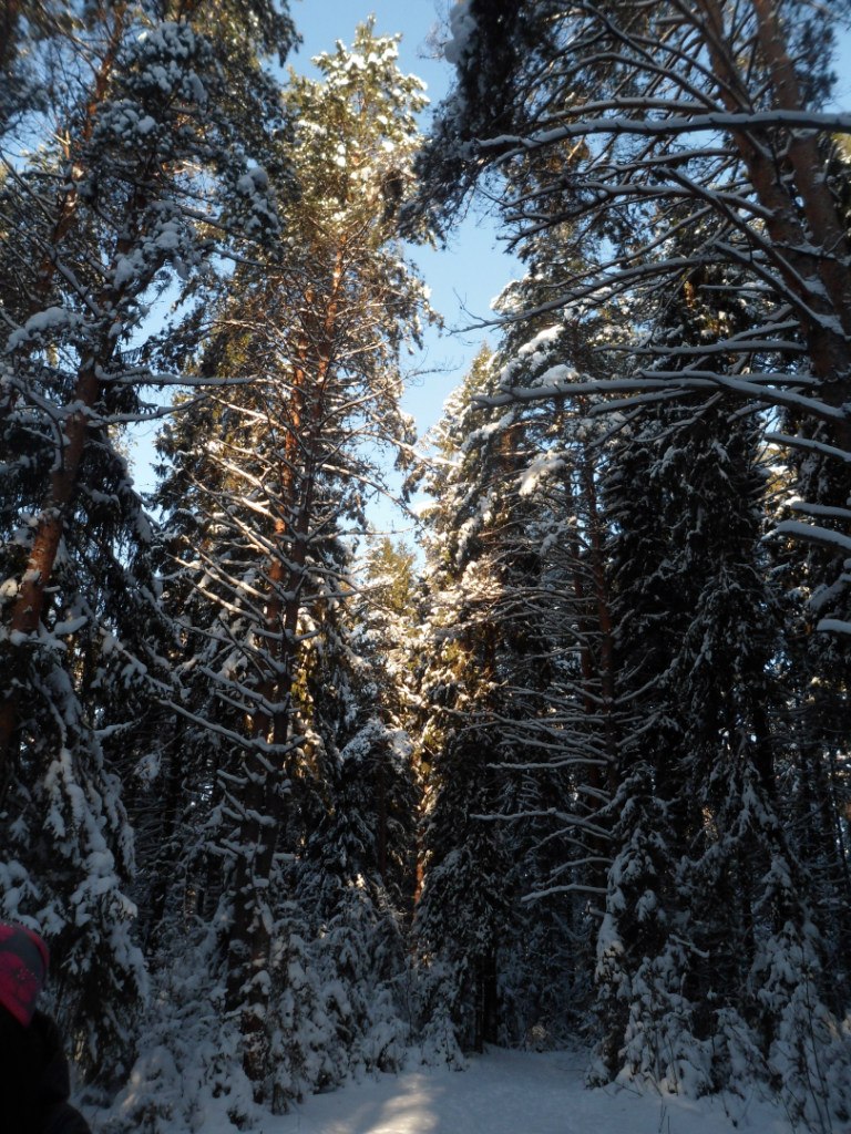 Юлия Зубова | Кострома