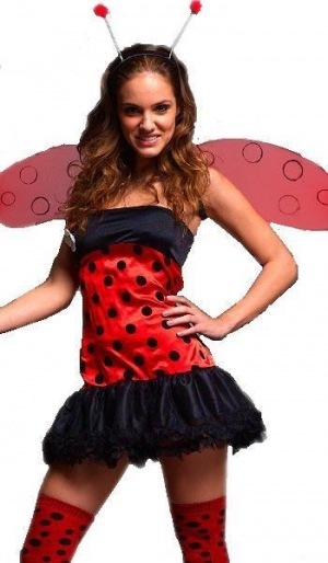 №38, Роман Жуков, Умань №38, Роман Жуков, Умань