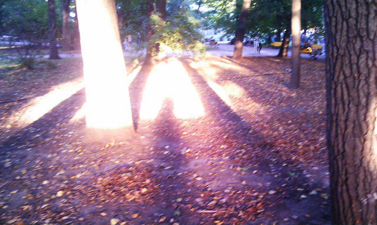 Nadia Zagrebina &аморфный кролик& | Москва