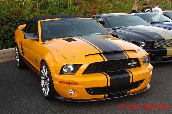 Вітьок Батькович | Луцк