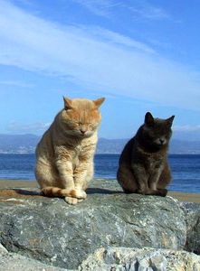 №3, Алексей Лельчук, 39 лет, Минск №3, Алексей Лельчук, 39 лет, Минск