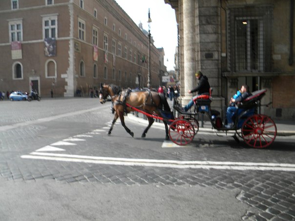 №22, Curtis Dixon, 77 лет, Houston №22, Curtis Dixon, 77 лет, Houston