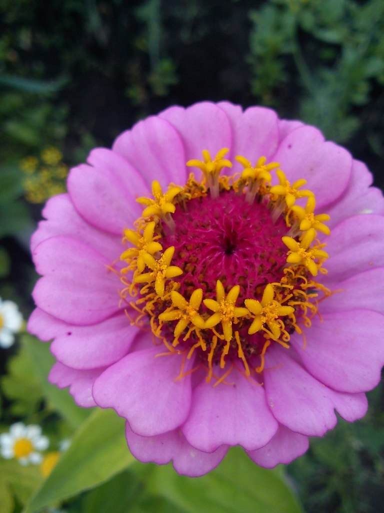 Елена Глибина | Вологда