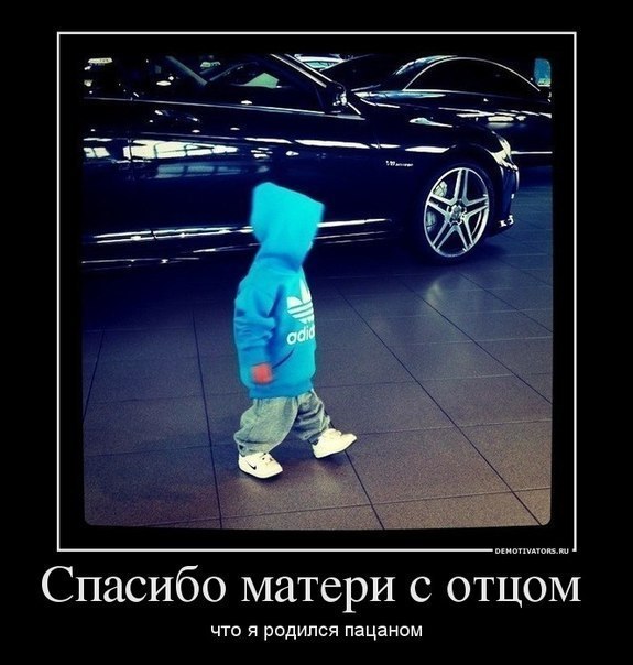 Дмитрий Коцюба | 