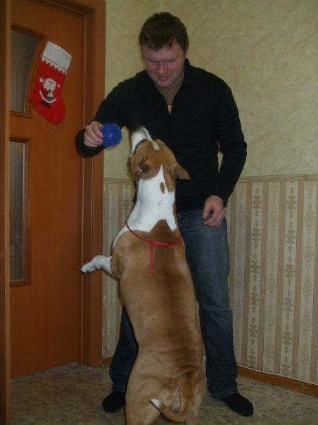 №43, Антон Палагичев, 38 лет, Уфа №43, Антон Палагичев, 38 лет, Уфа