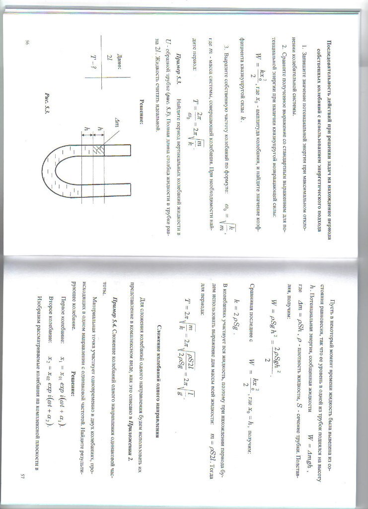 Даша Верзунова ○ Tom ○ | Москва