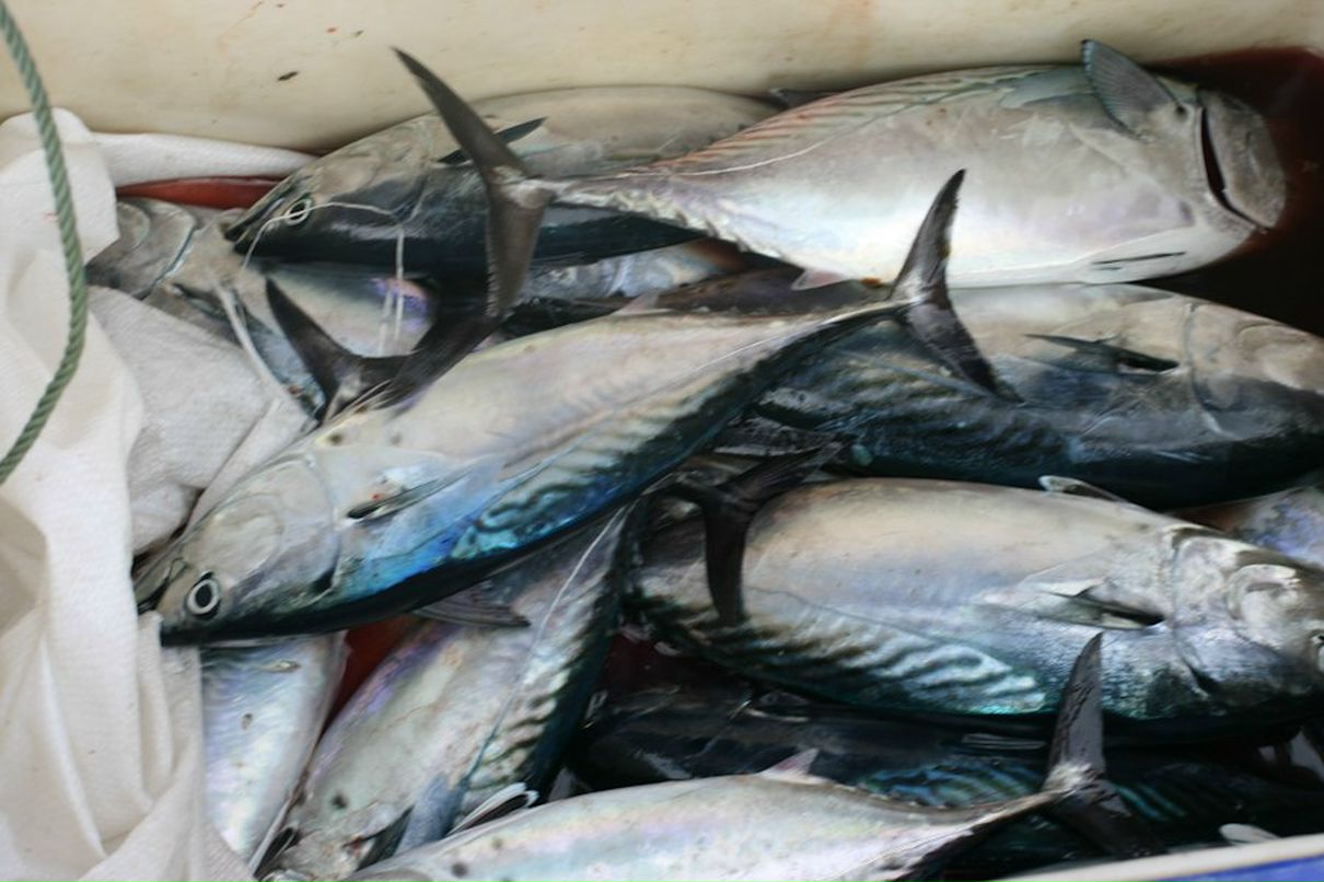 Рената Санникова | Ижевск