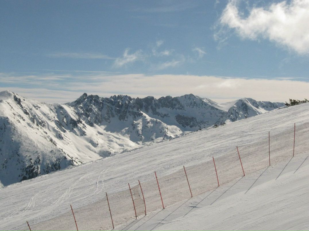 Mary Vtulkina *violet* | Люберцы