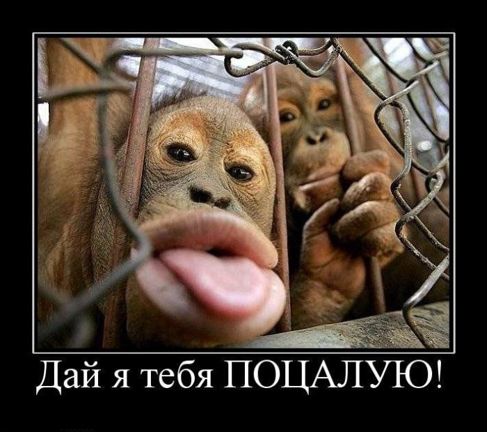 Дмитрий Васютин | Мариуполь