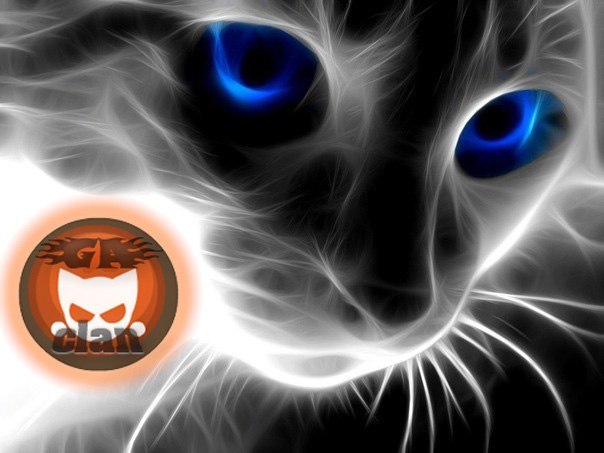 №43, Дмитрий Круглов, 28 лет, Кириши №43, Дмитрий Круглов, 28 лет, Кириши