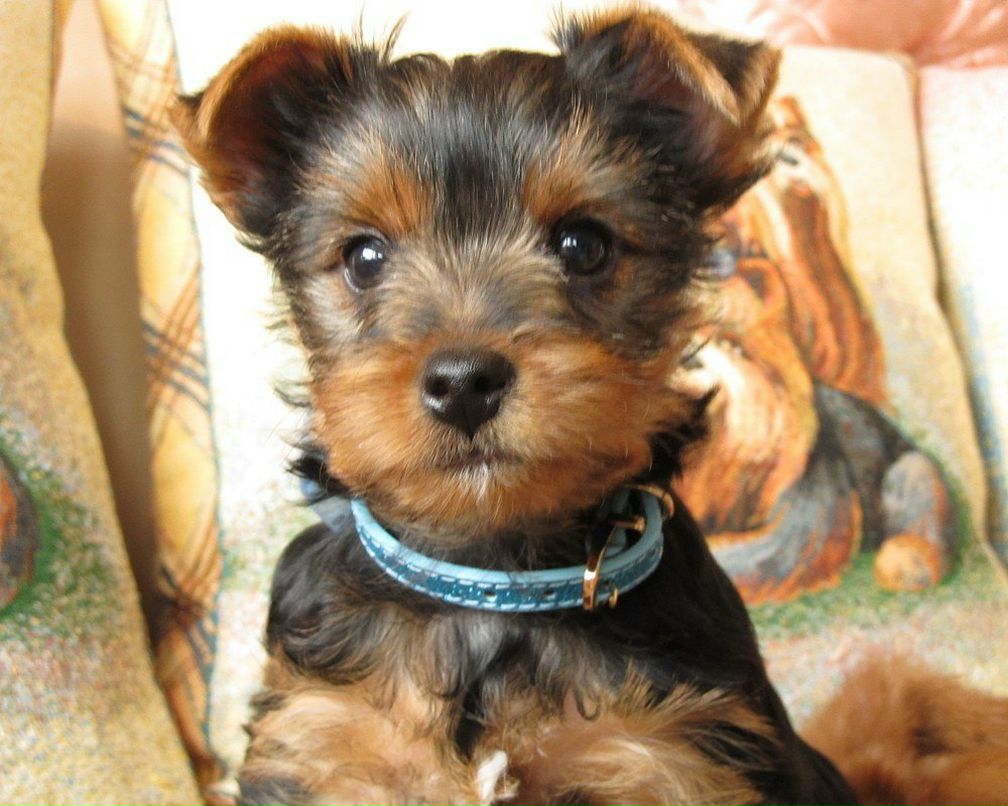 Костя Щербинский | Минск