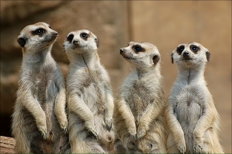 №9, Антон Зубков, 40 лет, Москва №9, Антон Зубков, 40 лет, Москва