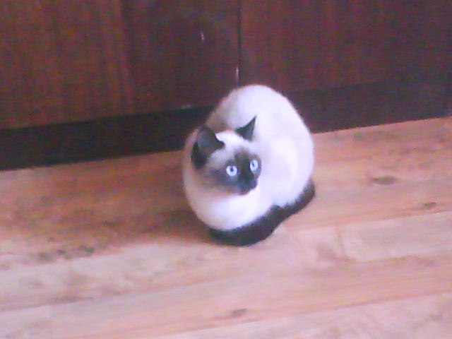 Мария Ткачёва | Казань