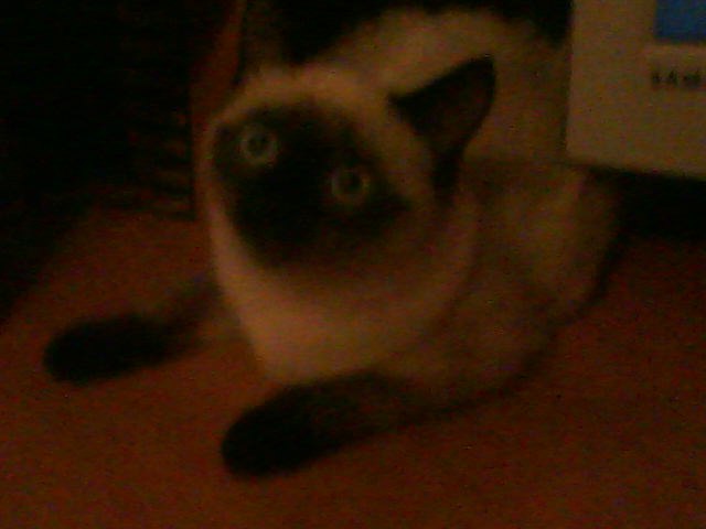 Мария Ткачёва | Казань