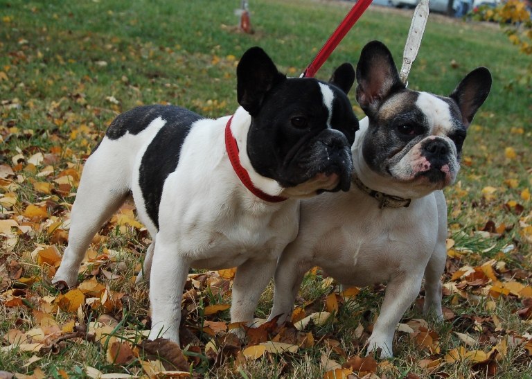 Светлана Басова | Львов