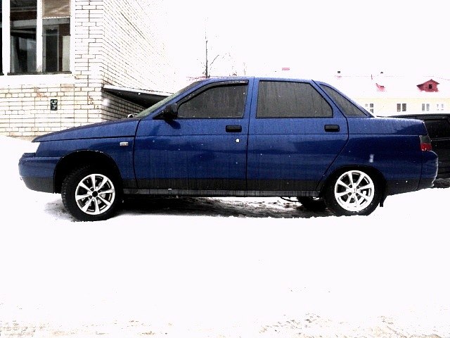 Димка Шарик Sharpey | Отрадное