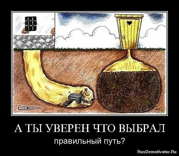 Дима Шишкинский | Киев