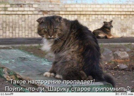 №1, Олеся Самарина, 38 лет №1, Олеся Самарина, 38 лет