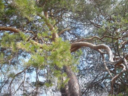 Михаил Кудашкин <<STAFOR>> | Саранск