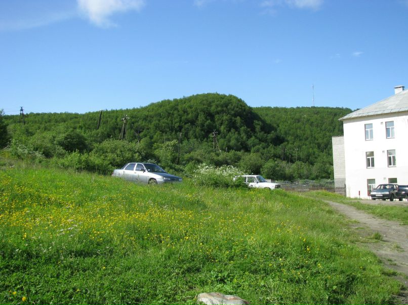 Надежда Тюрина | Коряжма