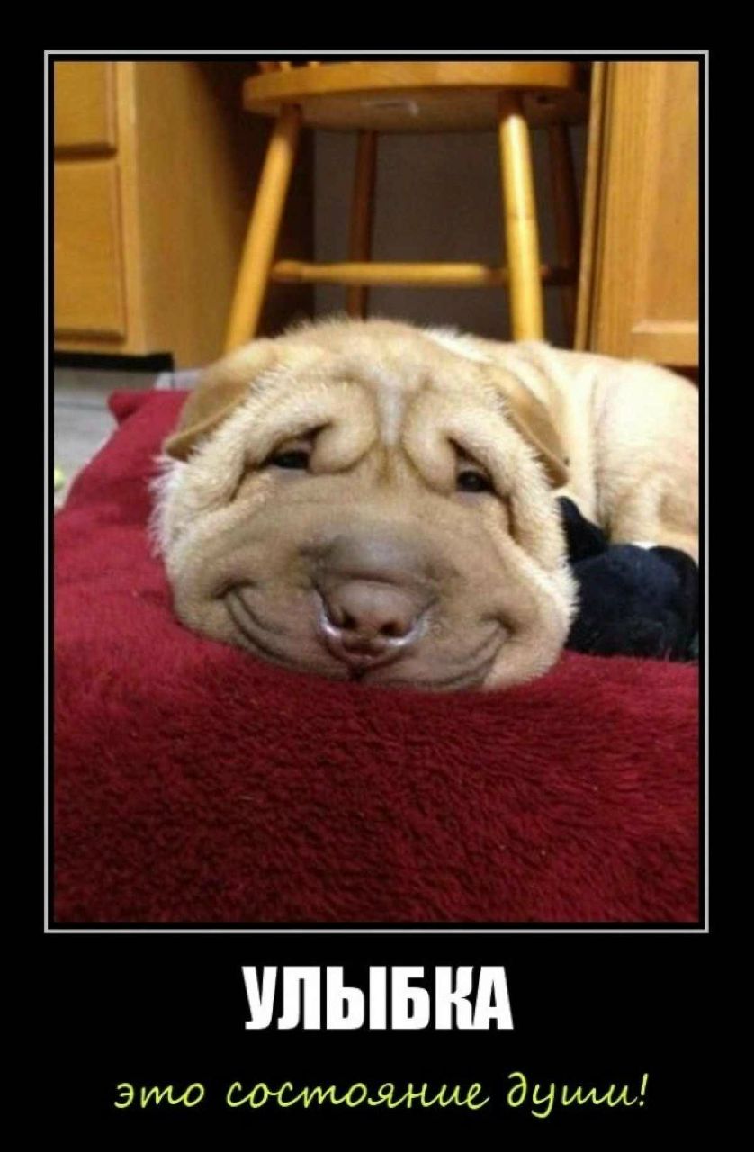 Виталий Крутошинский | Huntington