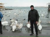 Фотография Алексей Чистоходов