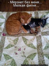 Наталья Карпова | Санкт-Петербург