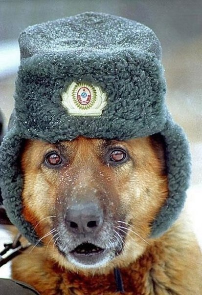 Юнона Юрьевна | Харьков