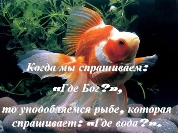 №59, Андрій Вальчук, 33 года №59, Андрій Вальчук, 33 года