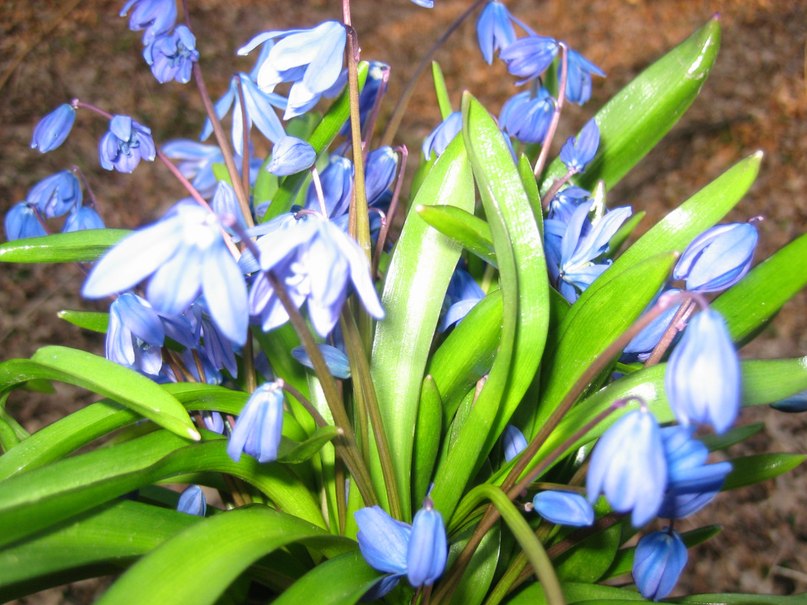 Людмила Сухорукова Анатольевна | Харьков