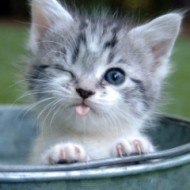 Руслана Петрова | Севастополь