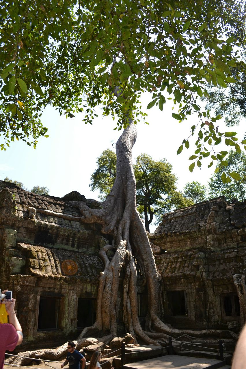 Анастасия Любченко | Новосибирск