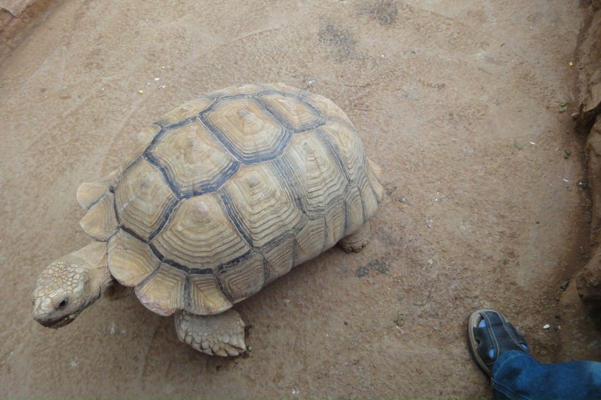 Дмитрий Будник | Москва