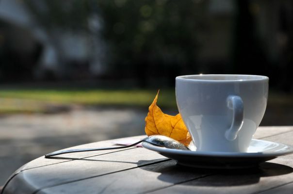 №2, Елена Максименко, 61 год, Брянск №2, Елена Максименко, 61 год, Брянск