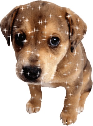 №45, Юлия Токан, Сумы №45, Юлия Токан, Сумы