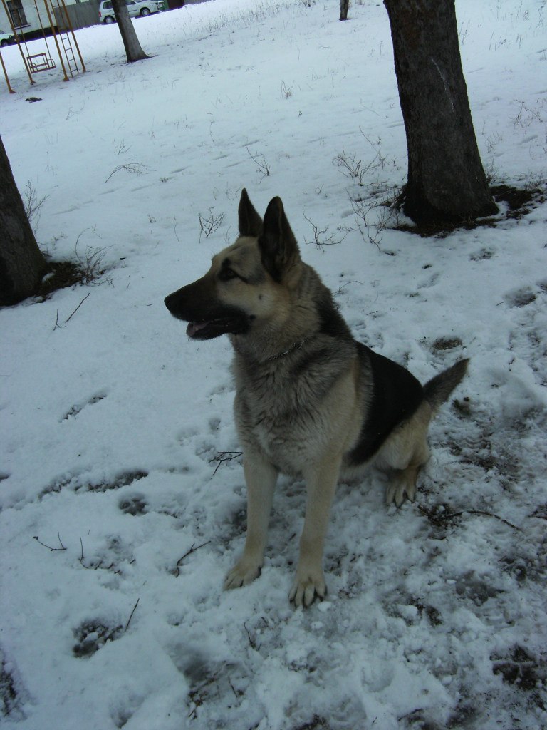 Саша Твердун Haggard | Ровно