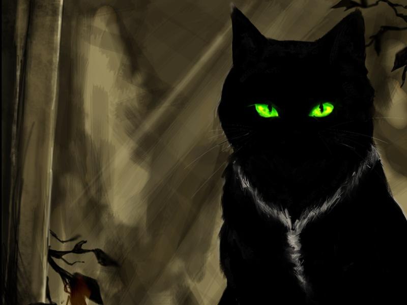 Вера Суторма | Волгоград