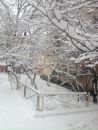 №26 Ольга Швенк 25.04: профиль, фото, статус - ВКонтакте