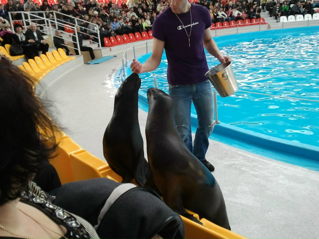 Гена Мычилкин | Донецк